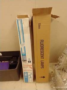 Fluorescent Light Bulbs