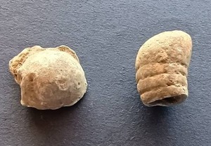 (2) Civil War Bullets