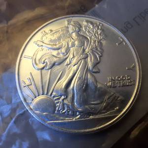lot 137 image: 1 Oz. .999 Fine Silver Bullion  Walking Liberty Image