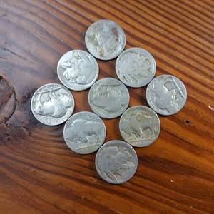 lot 180 image: Large Lot (9 coins) circulated Buffalo Head Nickels   made in USA  various years