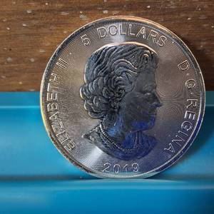 lot 275 image: 2019 Canada 1 oz $5 Silver Maple Leaf Coin .9999 Fine Silver - BU � Grizzly