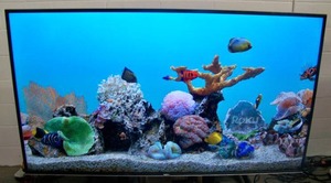 65 Vizio E65-F0 4K HDR LED SMART TV  Television with Remote Control and HDMI Cable