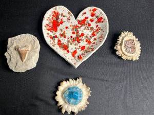 lot 128 image: Seashells & Painted Heart Dish - Moose Antler Fossil, Moose Fossil Belt Buckle, Fossil Tooth