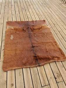 lot 50 image: Fantastic late 19th Century Miller Tanning Co, Crookston Mn. Horse Blanket 56 x 66