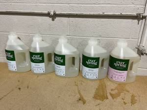 lot 256 image: LOT OF 5 Everspring Laundry Detergent