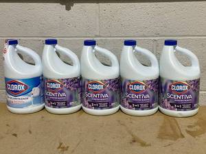 lot 257 image: LOT OF 5 Clorox Bleach