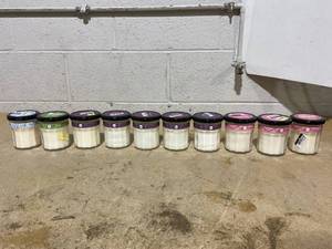 lot 262 image: LOT OF 10 Mrs. Meyers Clean Day Soy Candles (Iowa Pine, Snowdrop, Elderberry & Peppermint Scent)