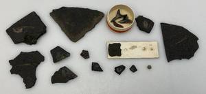 Misc. Fossel Specimens Including Sharks Teeth And More