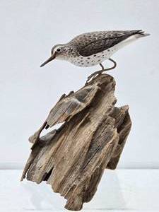lot 19 image: Excellent Hand Carved &amp Painted Folk Art Shore Bird #1