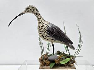 lot 20 image: Larger Excellent Hand Carved &amp Painted Folk Art Shore Bird #2