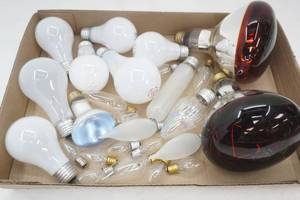 lot 101 image: Variety of Lightbulbs, infrared flood bulbs