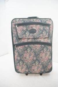 lot 337 image: Rolling Suitcase Set. Skyway