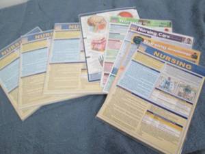 lot 104 image: 4 Packs of nursing quick study lami...