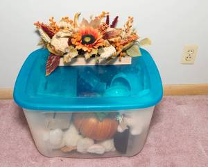 lot 72 image: FallSpring Mystery Decor