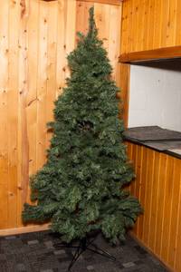 lot 233 image: Christmas Tree