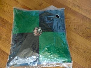 Fighting Sioux Throw Pillow