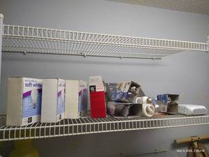 Large Lightbulb Lot - Motion Sensor Ceiling Light
