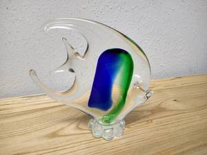 Pretty Glass Fish