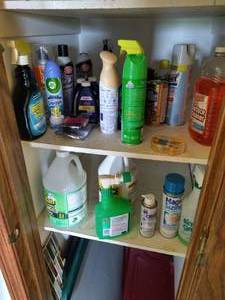 Closet of Cleaning Supplies