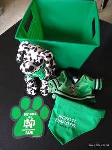 Large Fighting Sioux Lot - Puppy Dog, Teddy Bear Jersey, Etc