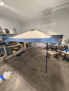 EZUp 13' x 13' Canopy with Carry Bag