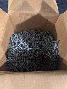 StormGuard Galvanized Nails - 3 in, 10d for Treated Lumber (50-lb Box)