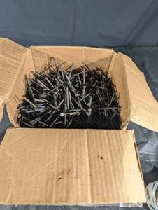Box of Common Nails - 2-3 in Long, Steel, Black Finish