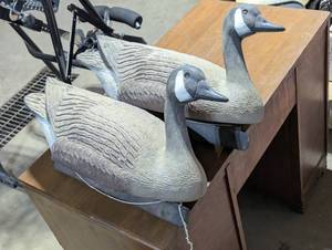 Nice Plastic Geese Decoys - Set of 2