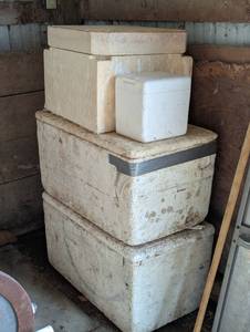 Large Styrofoam Coolers - 3 big 1 small