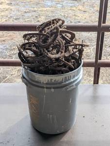 Overflowing 5 Gallon Bucket - Real Horseshoes - Heavy