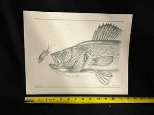 lot 50 image: Walleye Pencil Study by Jon Q Wright Limited Edition Fish Print 23200