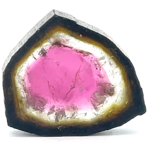 lot 58 image: 7.45 Carats Natural Watermelon Tourmaline Slice Retail $745