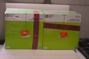 lot 25 image: Pendent Light