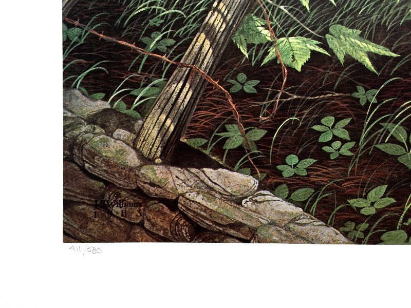 lot 51 image: Large Numbered and Signed Wildlife print by James Williams A Quite Moment 411580 33 X 24