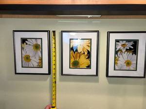 lot 90 image: Framed Daisy Flower Wall Art - 3-Piece Set
