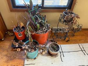 lot 241 image: Assorted Pots with Iron Plant Stand