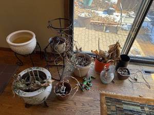 lot 242 image: Assorted Ceramic Plant Pots & Decor