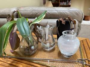 lot 248 image: Glass Vases - Clear