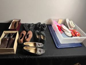 lot 300 image: Carlo-Brown Soft Buck 755N85 (Size 10 M) - Assorted Womens Shoes In Storage Box