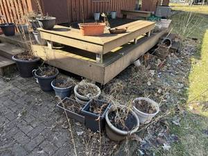 lot 332 image: Assorted Outdoor Potted Plants & Planters - Dormant Garden Pots Collection