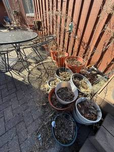 lot 355 image: Assorted Garden Pots & Planters - Terracotta, Plastic & Metal Stands