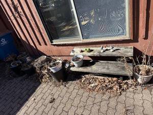 lot 356 image: Assorted Garden Pots & Planters - Plastic, Ceramic & Metal, Various Sizes