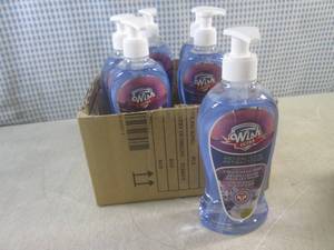 lot 20 image: (BS) 6 Bottles of Wish Ultra Liquid...