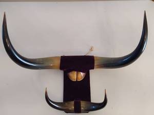 lot 219 image: Mounted Bull Horns