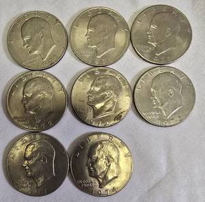 lot 14 image: 8 IKE Dollars.