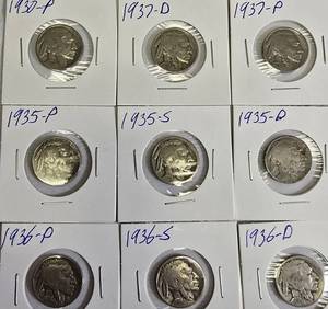 lot 21 image: Nine Different Buffalo Nickels