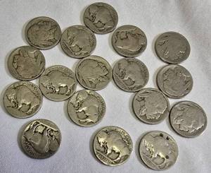 lot 24 image: 17 Buffalo Nickels Worn - No Dates