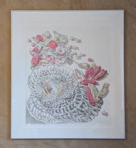 MB - Janet Fish Wise Guy Lithograph