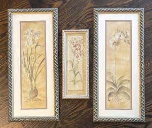 FR - Cheri Blum Floral Prints - Framed Botanical Wall Art - 3-Piece Set