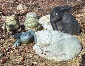 FY - Fun Garden Friends